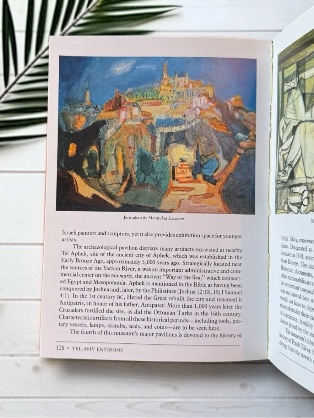 The Museums of Israel Softcover Travel Guide Book 1989 Abrams Illustrated